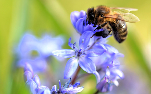 1754074 (a): :1920x1200